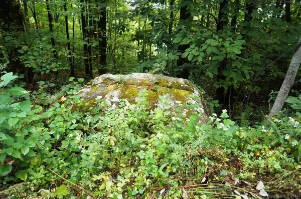 Rosman, NC 28772,Lot 43 Eastatoe Gap RD