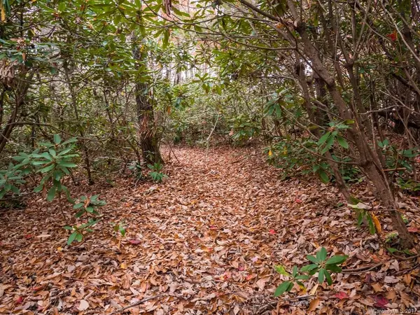 Swannanoa, NC 28778,30 Ac Watch Knob LN