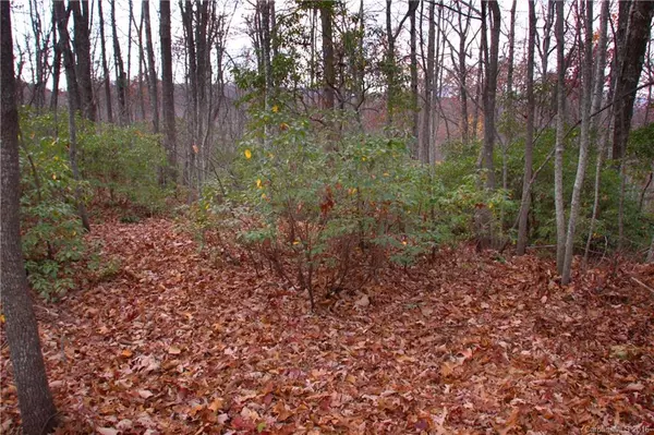 Rosman, NC 28772,Lot 68 Whitetail TRL #68