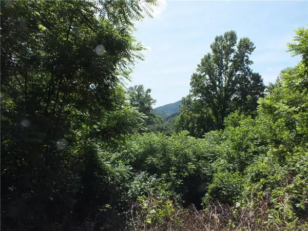 Waynesville, NC 28785,32 Campbell Mountain DR #32