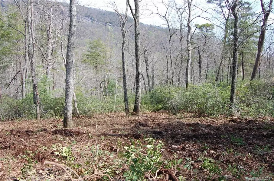 Lot 3 Garden LN #3, Lake Lure, NC 28746