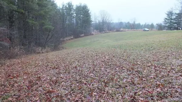 Mars Hill, NC 28754,5.25 Acres Bull Creek RD