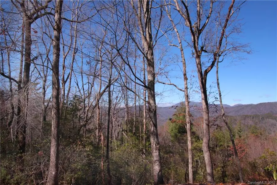 Lot 17 Arrowhead Ridge RD #17, Brevard, NC 28712