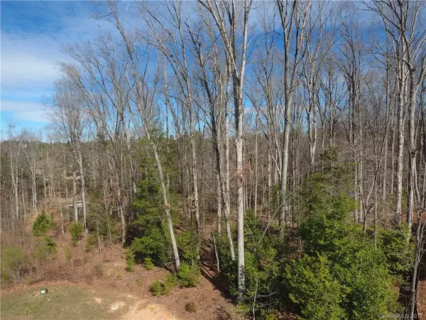 Denver, NC 28037,LOT 48 Halyard DR