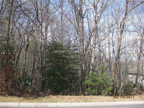 Hendersonville, NC 28791,61 Rockaway LN #61