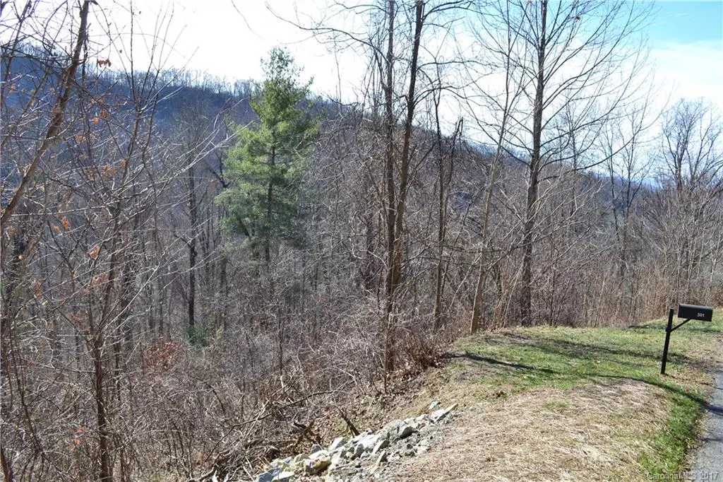 Weaverville, NC 28787,00 Chisel Rock WAY #92