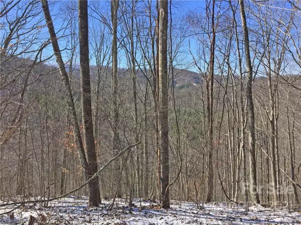 Vilas, NC 28692,TBD Highway 321 HWY