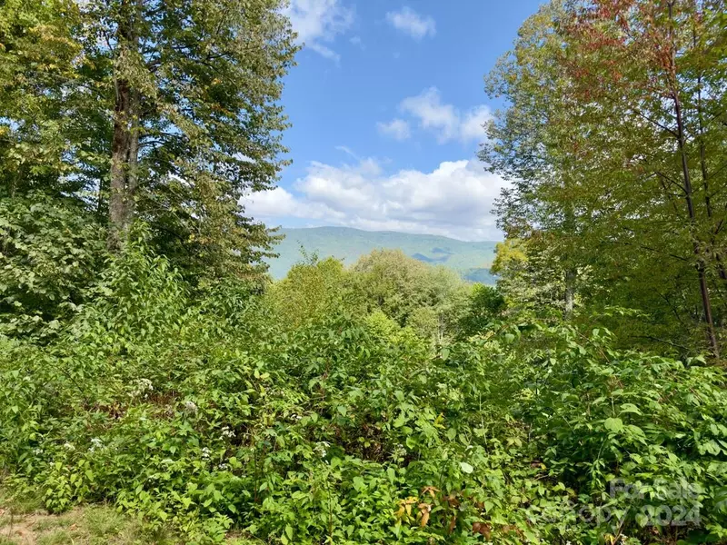 0000 Big Spring TRL #65, Qualla, NC 28719