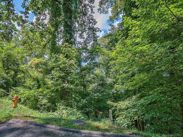 LOT 23 Peregrine LN #23, Asheville, NC 28804