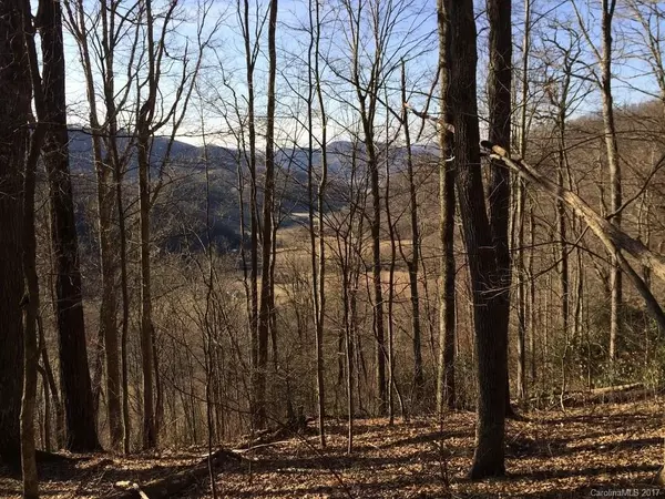 Lot # 43 Triple Creek DR #43, Clyde, NC 28721