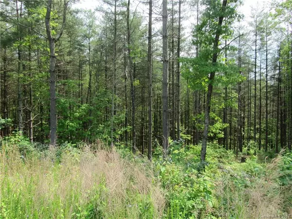 Collettsville, NC 28611,Lot 71 & 72 Bent DR #71 & 72