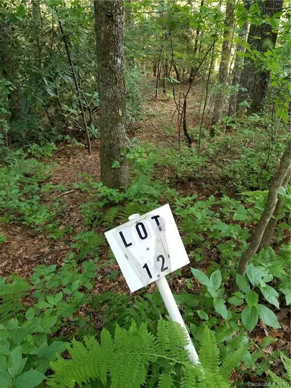 Cedar Mountain, NC 28718,101 Sugar Creek DR #Lot # 12