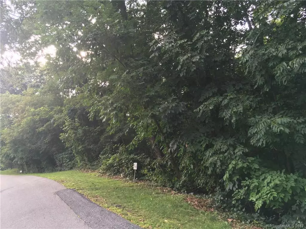 Waynesville, NC 28786,Lot 53/Lot 54 Presidential DR