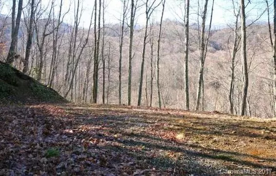 Lot A25 Tawodi TRL #A25, Maggie Valley, NC 28751