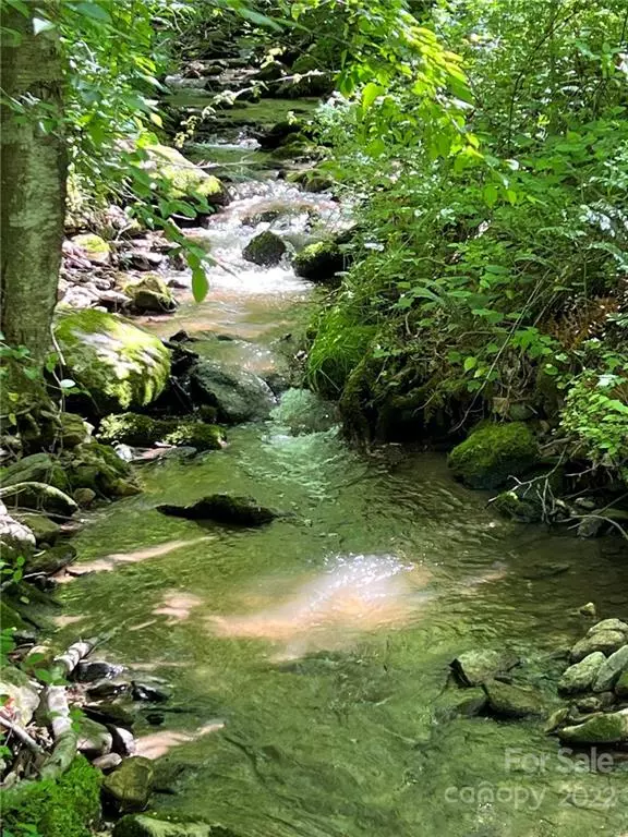 Hot Springs, NC 28743,000 Indian Camp Creek RD