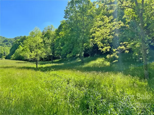 Hot Springs, NC 28743,000 Indian Camp Creek RD