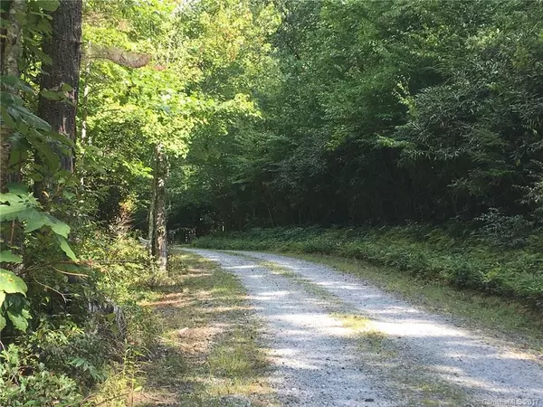 Rosman, NC 28772,121 Indian Springs RD #Lot 121