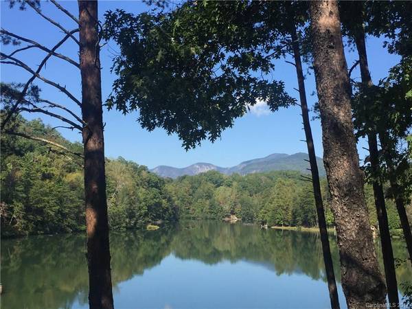 0 Sparrows WAY #49, Lake Lure, NC 28746