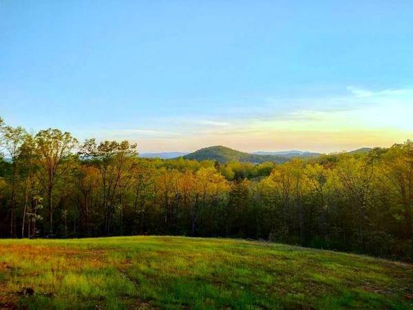 4949 Mineral Springs Mountain RD, Connelly Springs, NC 28612