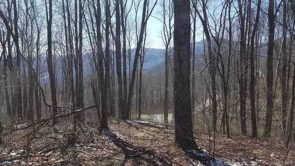 Waynesville, NC 28785,Lot 21 Mountain Watch DR