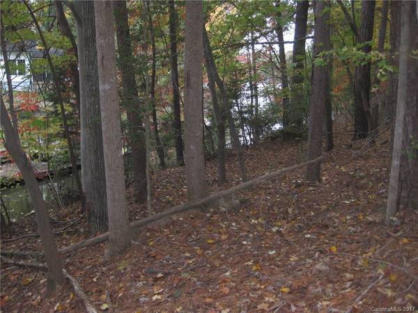 Mount Gilead, NC 27306,0 Springwood DR #Lot 24 Map 7