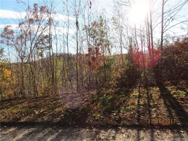 Lake Lure, NC 28746,Lot 191 Sandpiper AVE