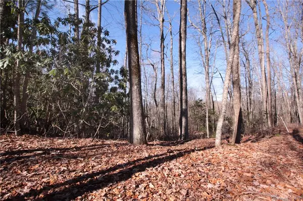 Brevard, NC 28712,Lot 19A Tranquilite DR #19 A