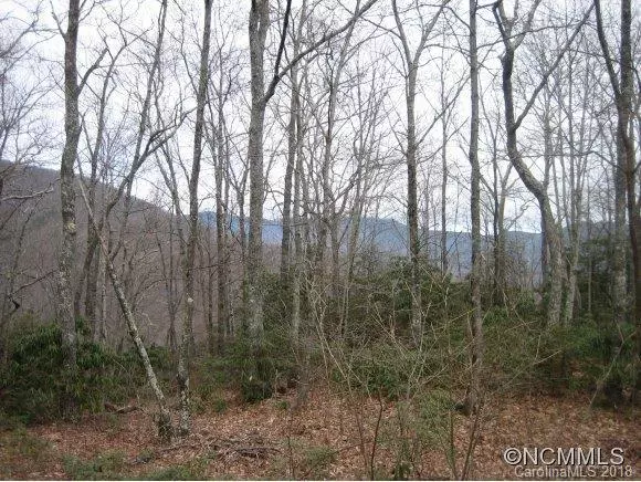 Black Mountain, NC 28711,4 Oak Ridge TRL #507