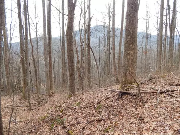 Lot 45 Fern TRL, Waynesville, NC 28786