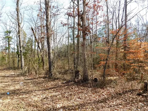 Lincolnton, NC 28092,Lot 4 Furnace RD