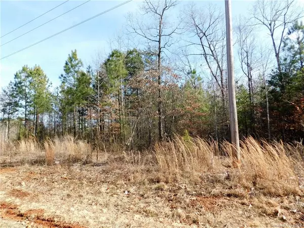 Lincolnton, NC 28092,Lot 12 Furnace RD