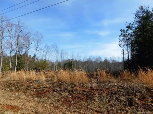 Lincolnton, NC 28092,Lot 12 Furnace RD