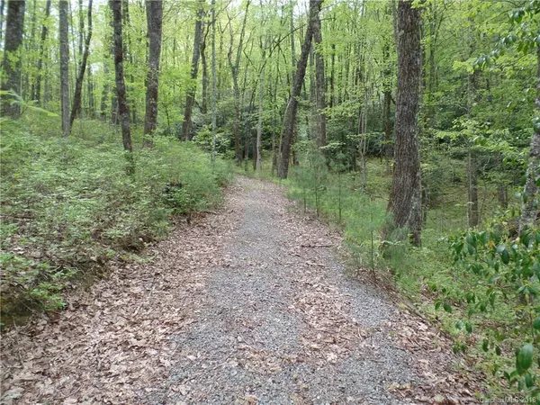 Brevard, NC 28712,TBD Big Branch RD #Lot 56A