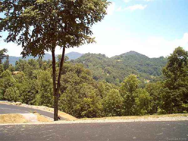 Waynesville, NC 28785,1251 Campbell Mountain DR #108