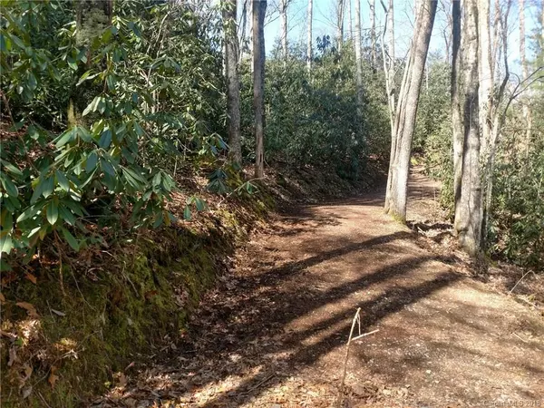 Pisgah Forest, NC 28768,lot 1 Middlemount RD #Lot 1