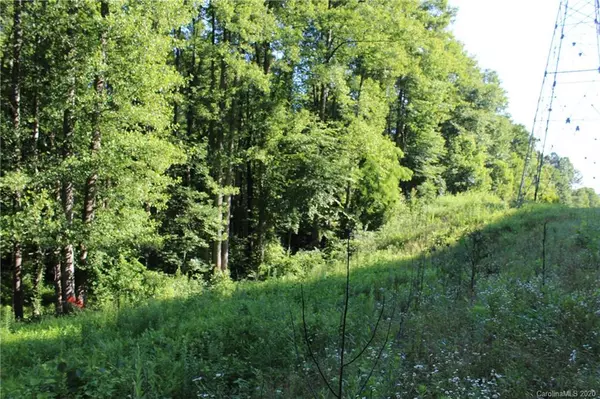 Pisgah Forest, NC 28768,00 Hidden Gap LN