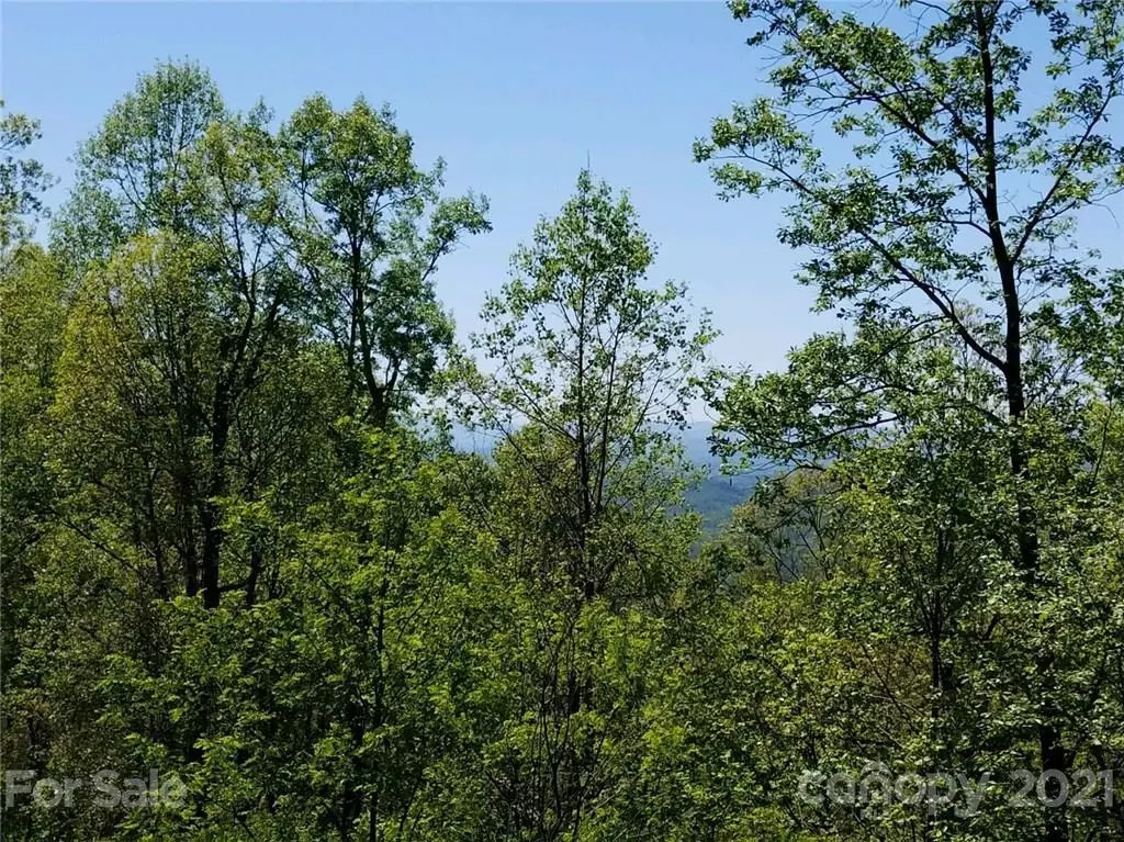 Bostic, NC 28018,0 Upper Ridge RD