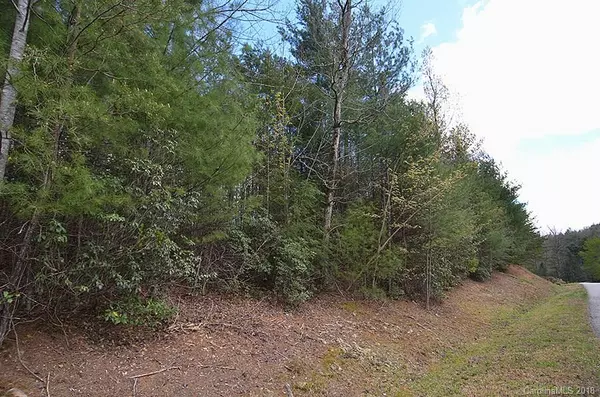 Marion, NC 28752,Lot 36 Cross Creek North Ridge DR #36