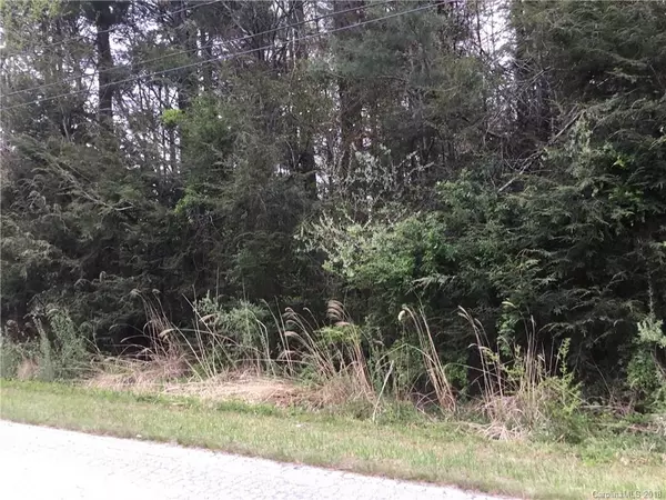 99999 Mine Gap RD, Flat Rock, NC 28731