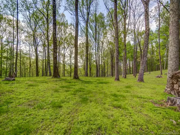 Lot 7 Powder Springs TRL, Arden, NC 28704