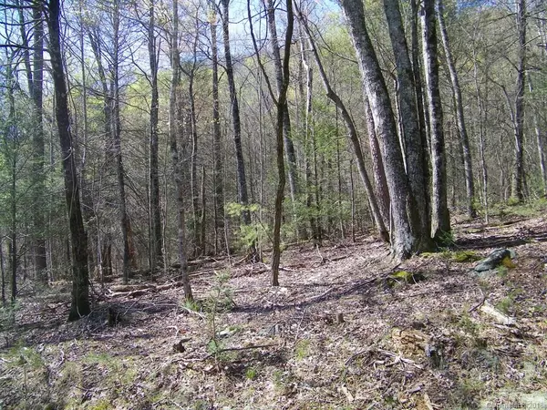 LOT 234 Quail Ridge RD, Lake Lure, NC 28746