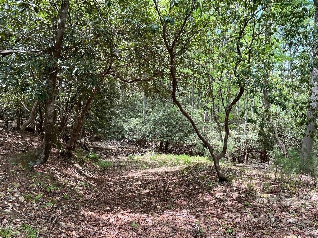 Arden, NC 28704,51 Misty Valley Pkwy