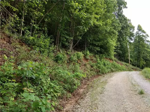 Union Mills, NC 28167,00 Pinnacle Pkwy #Lot 3