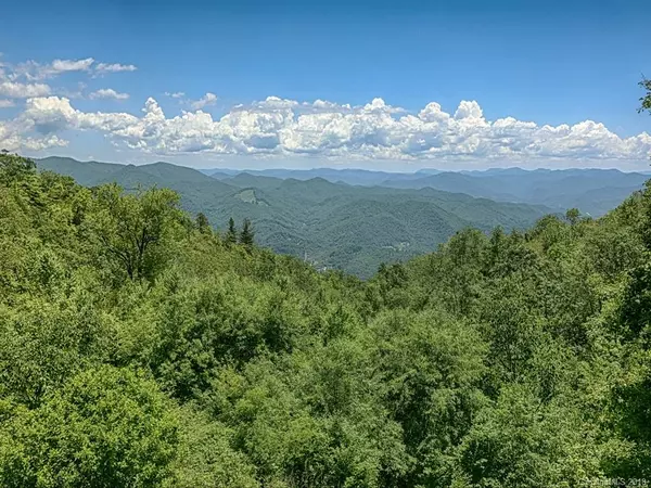 Sylva, NC 28779,4390 Parris Branch RD