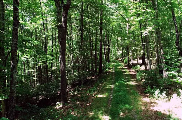 Pisgah Forest, NC 28768,Lot 14 R Reserve RD #14 R