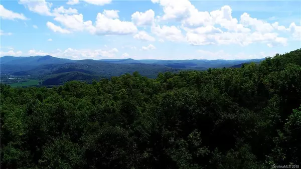 Pisgah Forest, NC 28768,Lot 14 R Reserve RD #14 R