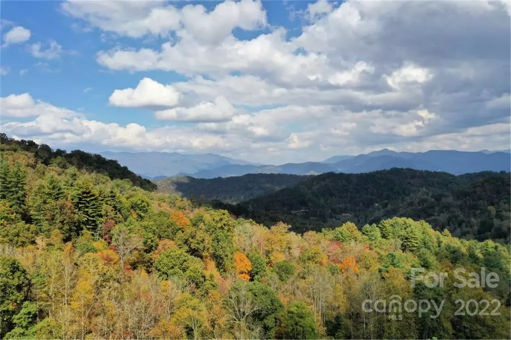 Sylva, NC 28779,VL25 Mountain Forest RD