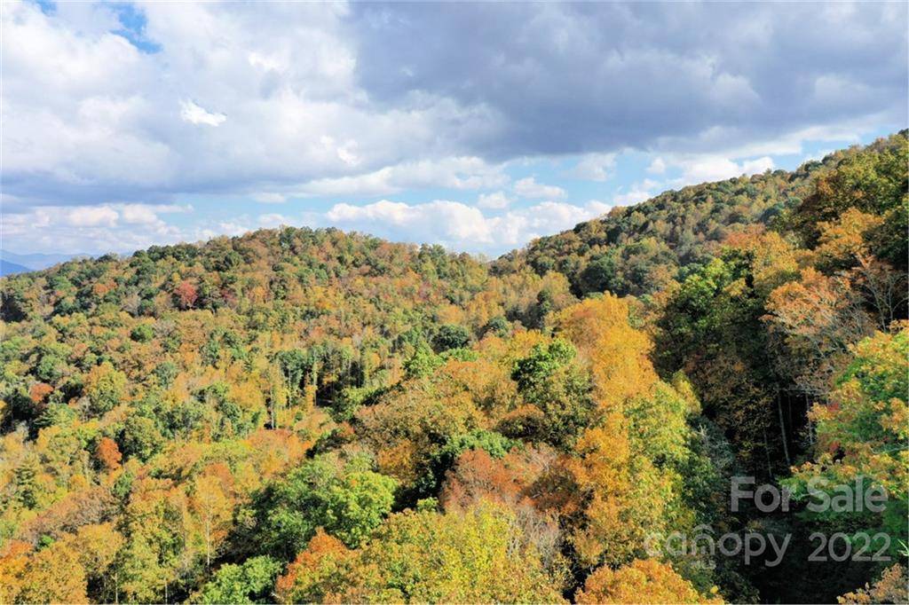 Sylva, NC 28779,VL25 Mountain Forest RD