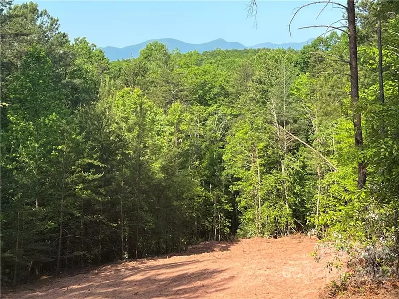 Lot# 19 Pisgah Preserve DR #Lot# 19, Nebo, NC 28761