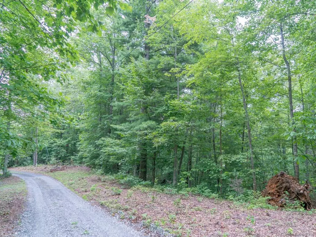 Spruce Pine, NC 28777,000 Laurel Ridge DR